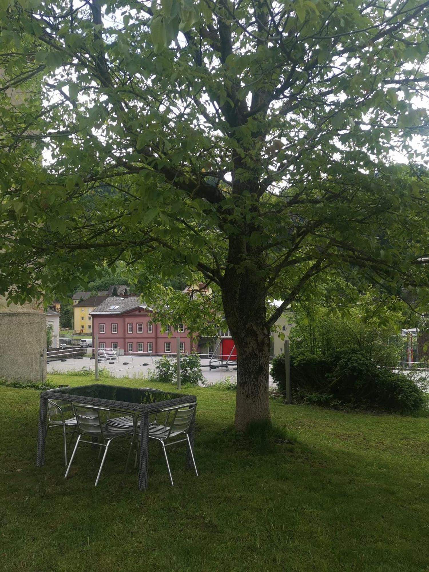 Eisenerzer Apartments - Radmeisterhaus Dış mekan fotoğraf